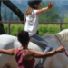 (Vidéo) Centre d’équihomologie (le soin par le cheval) de Mazan, Portes ouvertes ce samedi 17 septembre