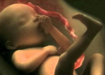 Atelier découverte sur les Mémoires avant la naissance