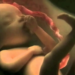 Atelier découverte sur les Mémoires avant la naissance
