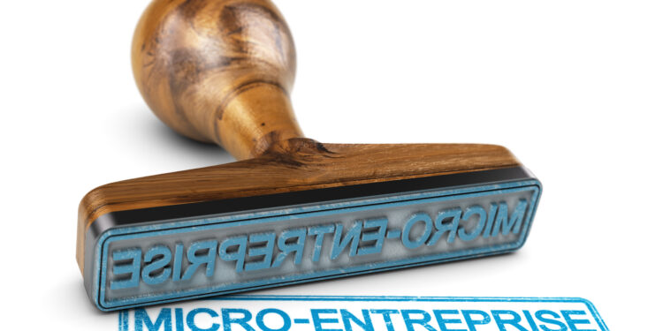 Les micro-entreprises s’enracinent en Vaucluse et dans le Sud