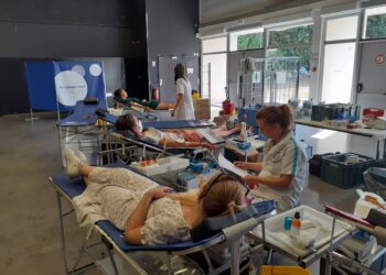 Avignon : une collecte de sang à Agroparc