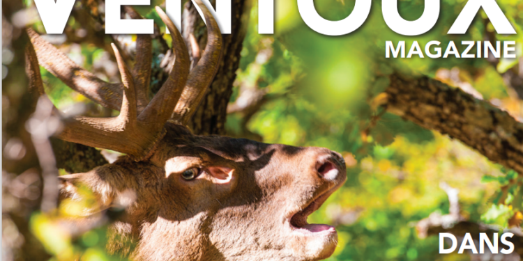 Ventoux magazine, dans le secret du brame du cerf