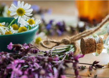 Festival Ventoux saveurs, c’est maintenant et jusqu’au 5 novembre