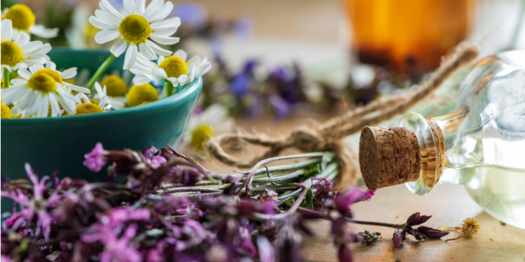 Festival Ventoux saveurs, c’est maintenant et jusqu’au 5 novembre