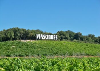 La sobriété peut-elle rendre heureux ?