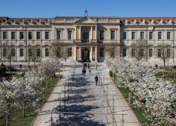 102 étudiants étrangers vont faire leur rentrée à l’Université d’Avignon