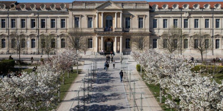102 étudiants étrangers vont faire leur rentrée à l’Université d’Avignon