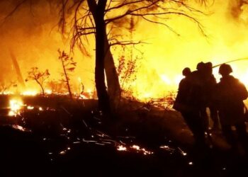 Les maires de Vaucluse veulent défendre le modèle français de sécurité civile