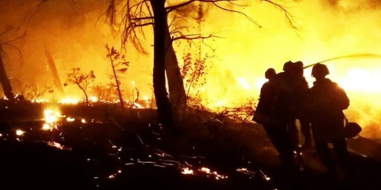 Les maires de Vaucluse veulent défendre le modèle français de sécurité civile