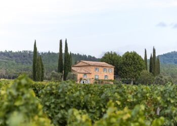 Le Vaucluse parmi les 1ères destinations oenotouristiques sur Airbnb