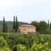 Le Vaucluse parmi les 1ères destinations oenotouristiques sur Airbnb