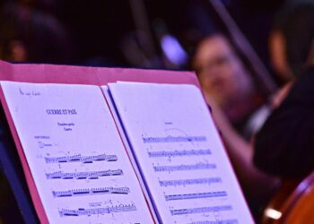 Caromb : les solistes du Jeune orchestre Rameau en concert vendredi