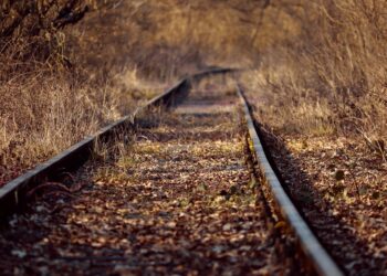 Sorgues : 700 collégiens sur les pas des déportés du « Train fantôme »