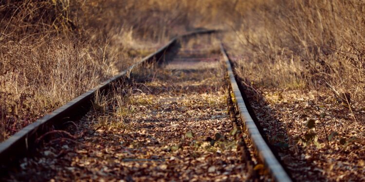 Sorgues : 700 collégiens sur les pas des déportés du « Train fantôme »