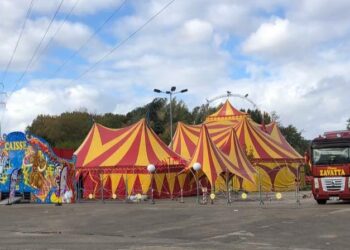Avignon : le Tribunal administratif de Nîmes ordonne le départ du cirque Zavatta