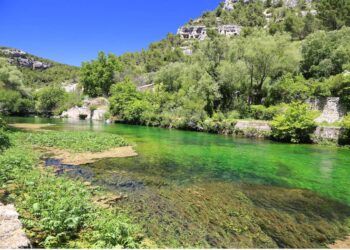 Les habitants des Sorgues sont invités à contribuer au plan de gestion de la végétation des Sorgues
