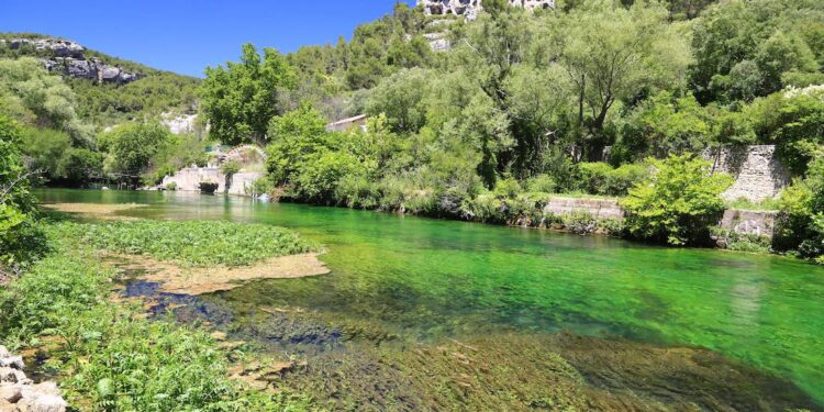Les habitants des Sorgues sont invités à contribuer au plan de gestion de la végétation des Sorgues