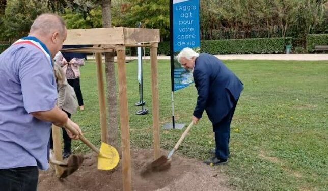 Bédarrides : la communauté d’agglomération des Sorgues du Comtat plante un arbre symbolique pour ses 20 ans