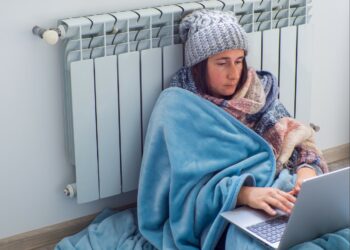 Sobriété énergétique et télétravail : Quelles possibilités pour l’entreprise et les salariés ?