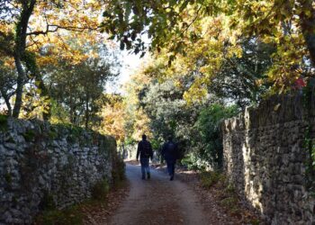 Participez à une randonnée gourmande autour de la bière