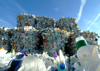 Déchets : Les Vauclusiens champions régionaux du recyclage en 2021