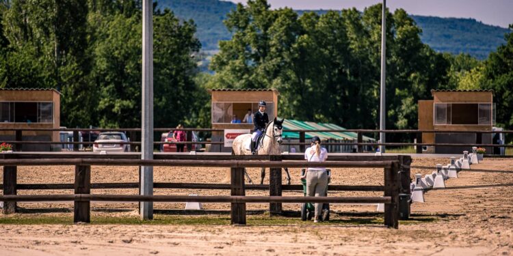 Pays d’Apt : les cavaliers se donnent rendez-vous ce week-end pour la finale régionale de dressage