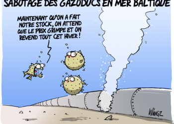 Le sabotage des gazoducs “Nord Stream“ vu par Wingz pour l’Echo du Mardi