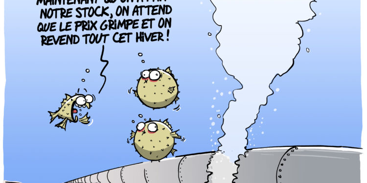 Le sabotage des gazoducs “Nord Stream“ vu par Wingz pour l’Echo du Mardi