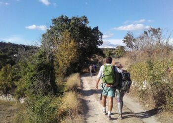 Des randonnées pour tous les niveaux pour découvrir le Parc du Luberon
