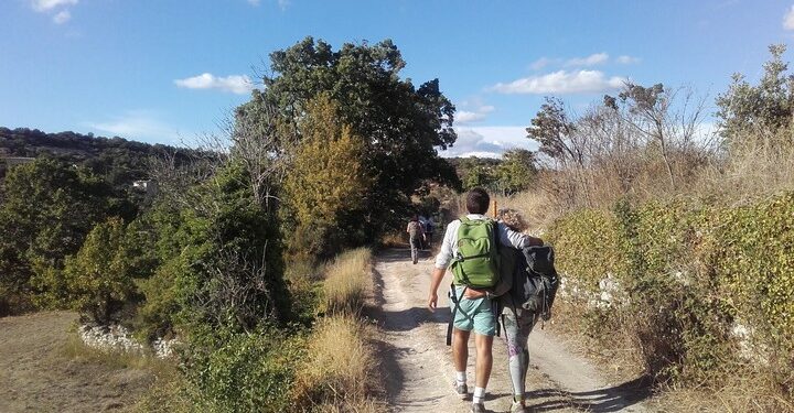 Des randonnées pour tous les niveaux pour découvrir le Parc du Luberon