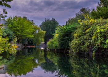 Isle-sur-la-Sorgue : que faire ce week-end ?