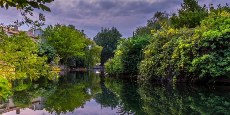 Isle-sur-la-Sorgue : que faire ce week-end ?