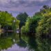 Isle-sur-la-Sorgue : que faire ce week-end ?