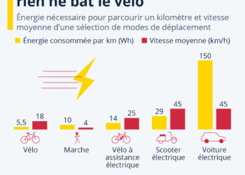 Efficacité énergétique : rien ne bat le vélo