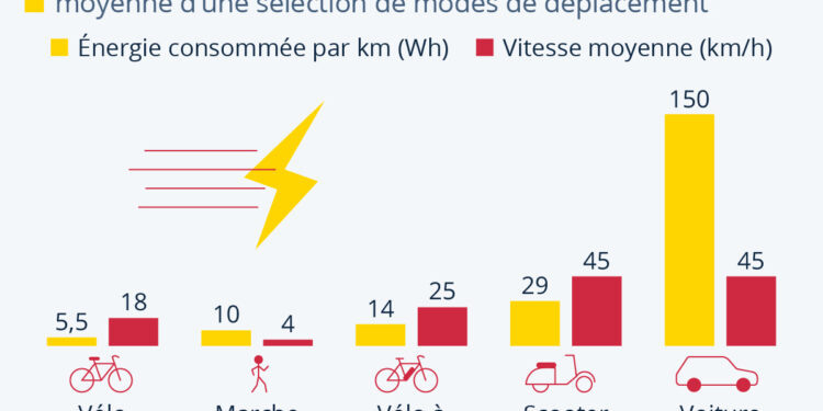 Efficacité énergétique : rien ne bat le vélo