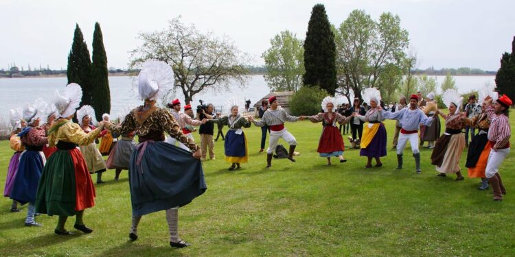 Observatoire de la langue et de la culture provençales : quel bilan après deux ans ?