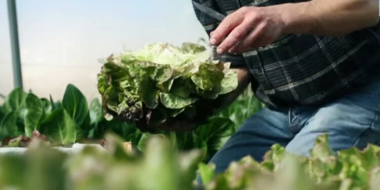 2 000 jeunes Vauclusiens recevront des paniers alimentaires d’ici Noël