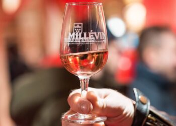 L’AOC Côtes du Rhône fête son nouveau millésime