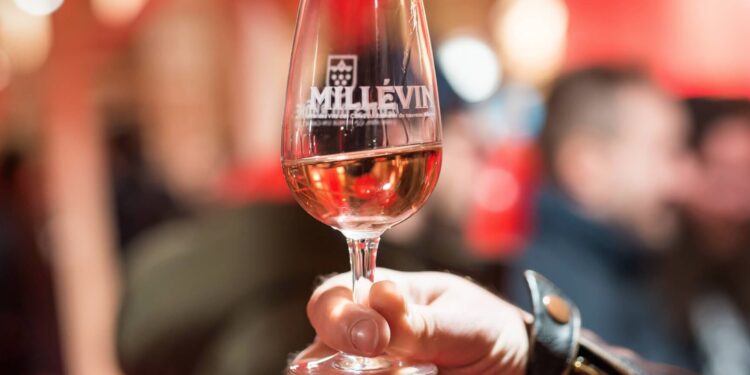 L’AOC Côtes du Rhône fête son nouveau millésime