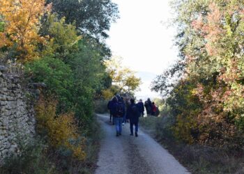 Gordes : une randonnée gourmande autour de la truffe