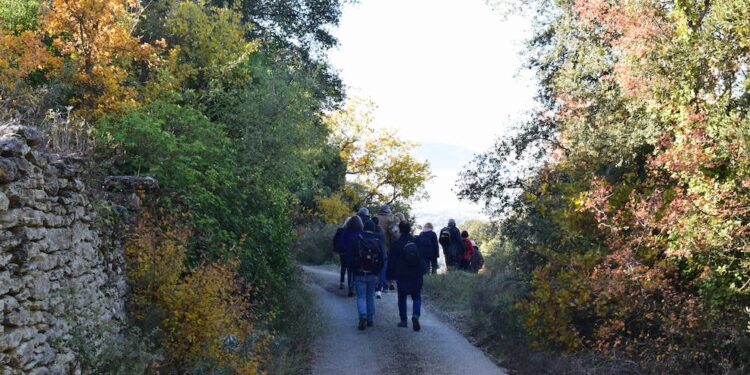 Gordes : une randonnée gourmande autour de la truffe