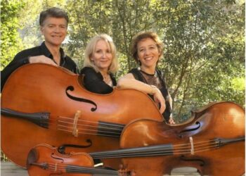 (Vidéo) Octobre rose en novembre, Les Sorop’ d’Avignon organisent un concert