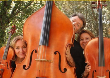 (Vidéo) Les Sorop’ d’Avignon proposent un concert contre le cancer