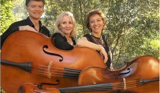 (Vidéo) Octobre rose en novembre, Les Sorop’ d’Avignon organisent un concert