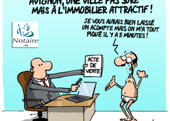 Avignon, ville pas sûre mais à l&rsquo;immobilier attractif, vue par Wingz pour l’Echo du Mardi