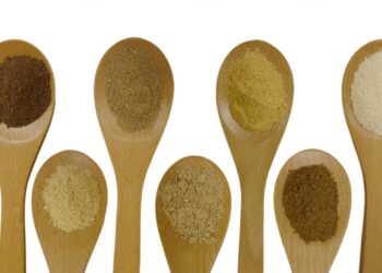 La startup agroalimentaire Green Spot Technologies s’implante à Carpentras