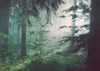 Sortie de résidence au Théâtre des Carmes ce samedi