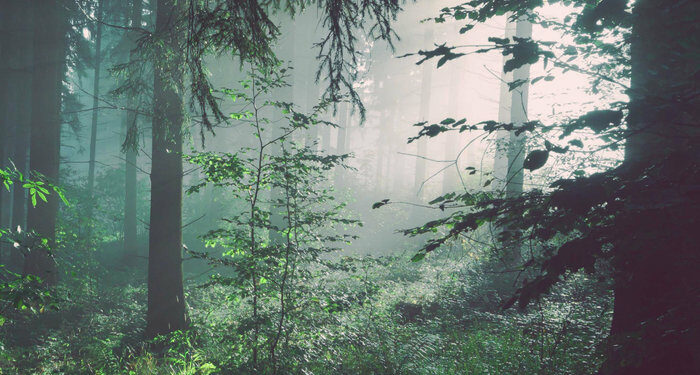 Sortie de résidence au Théâtre des Carmes ce samedi