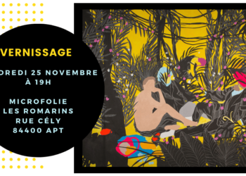 Fondation Blachère : vernissage de l’exposition « Ré-création » ce vendredi à la Micro-Folie