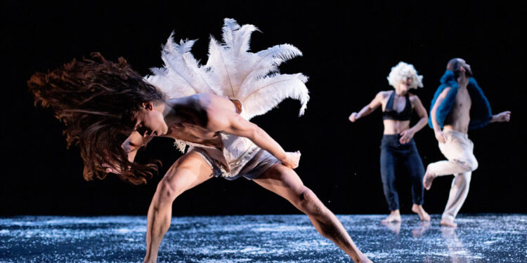 Nyons : ‘Hâmaïkà’ met en lumière la différence, le genre et la liberté